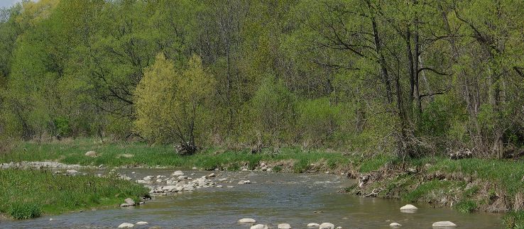 Pickering Trip Packages