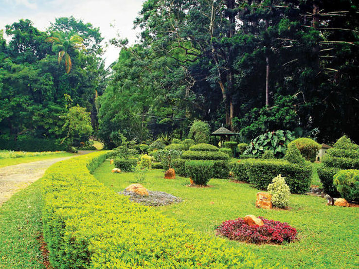 Gampaha Botanical Garden Trip Packages