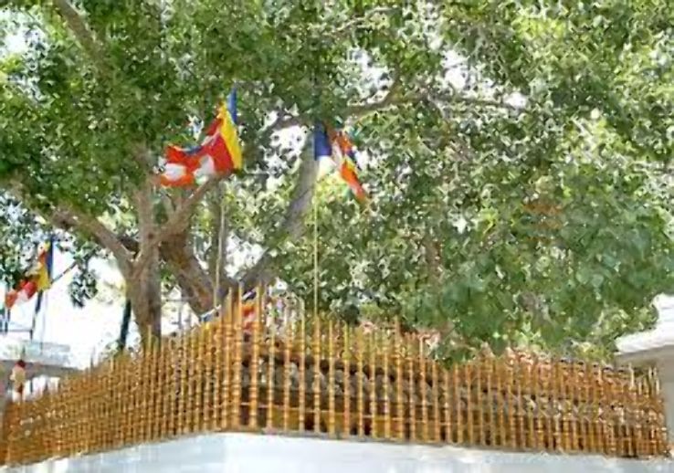 Anuradhapuraya Trip Packages