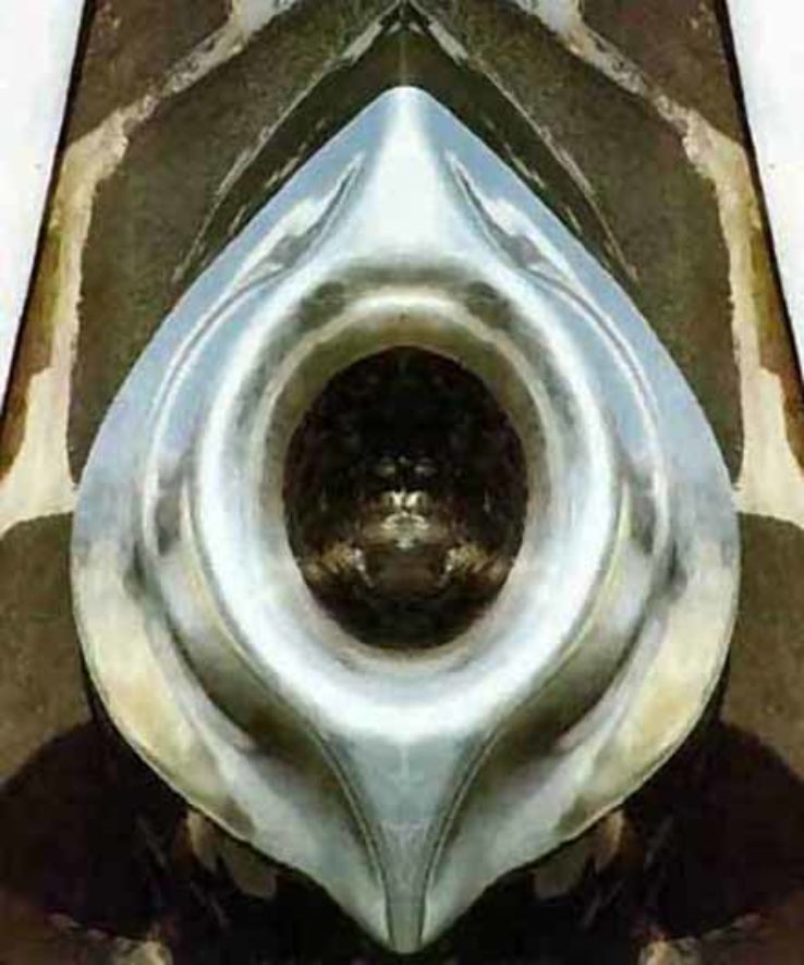 The Black Stone Trip Packages