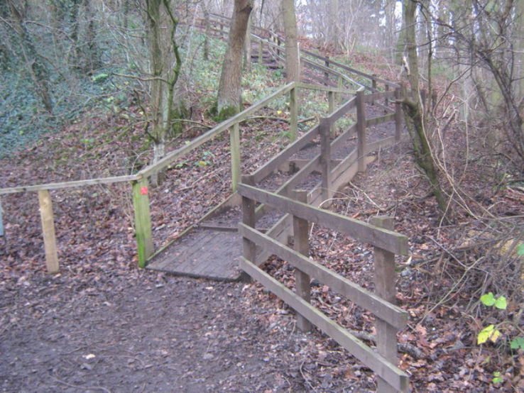 Wynyard Woodland Park Trip Packages