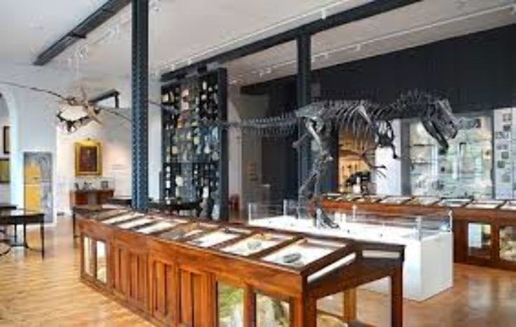 Edgbaston Trip Packages