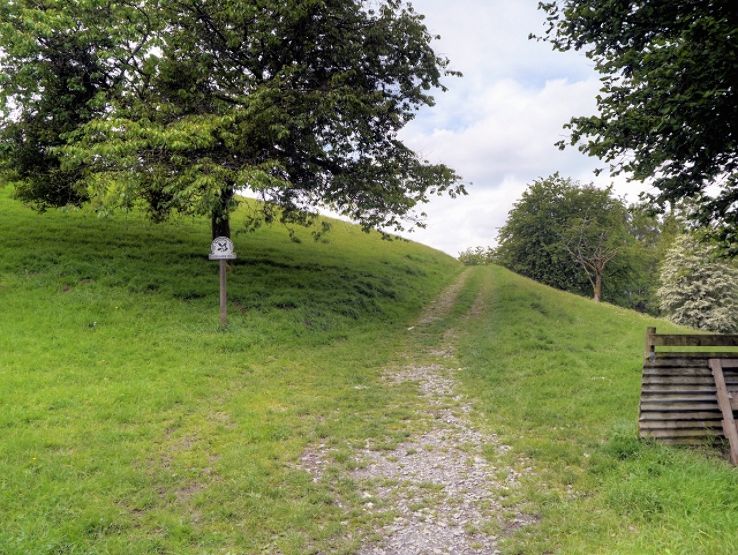 Queen Adelaides Hill Trip Packages