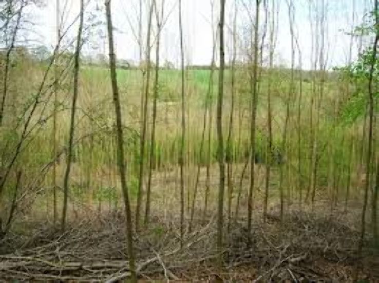 Princes Risborough Trip Packages