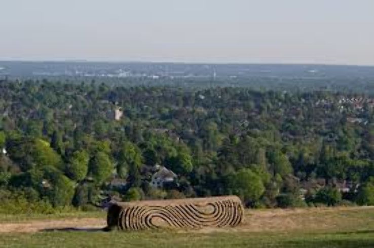 Reigate Trip Packages