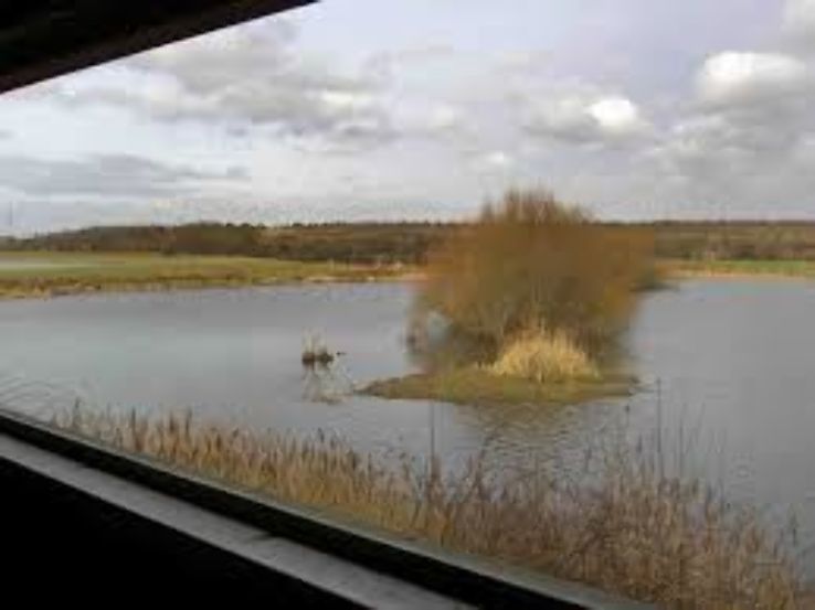 RSPB Old Moor  Trip Packages