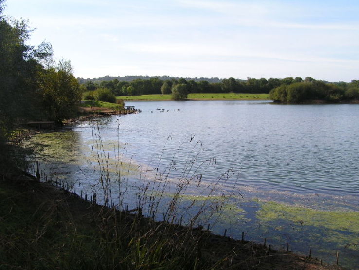 Haysden Country Park Trip Packages