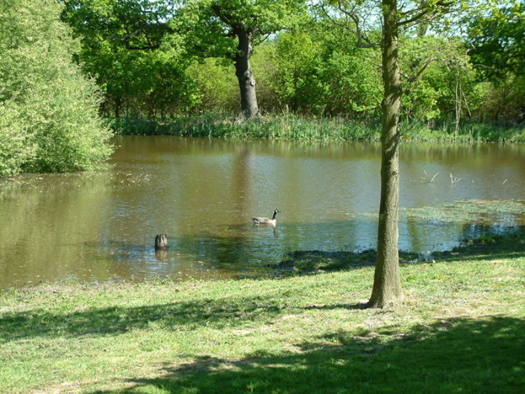 Lake Farm Country Park Trip Packages