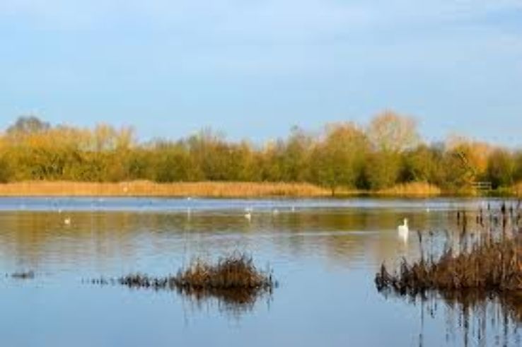 Irthlingborough Lakes and Meadows Trip Packages