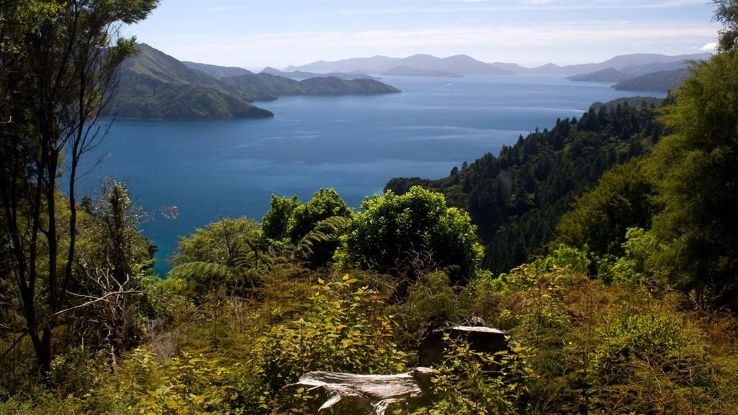 Queen Charlotte Track Trip Packages