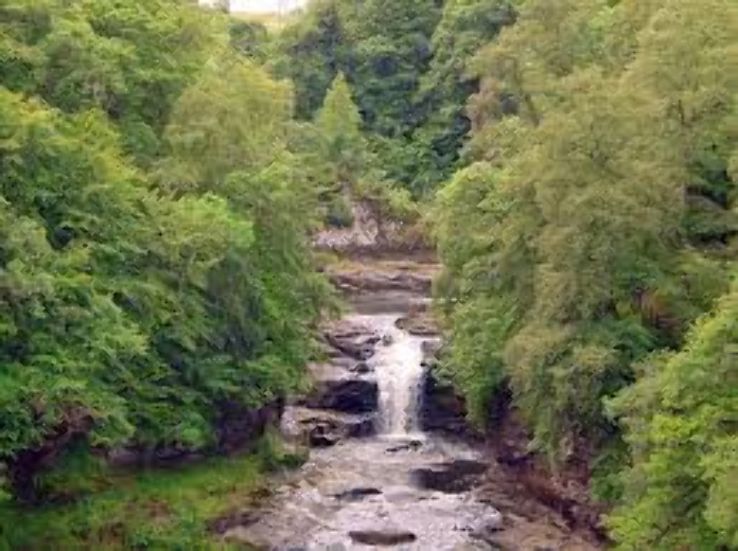 Falls of Clyde  Trip Packages