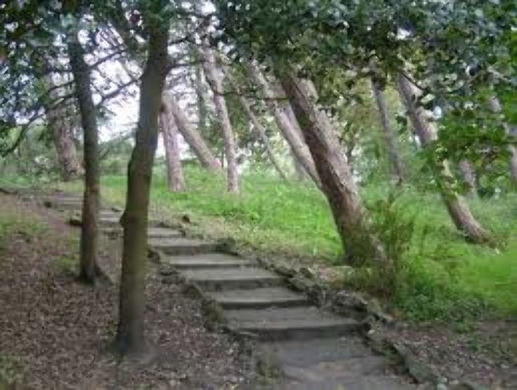 Hesketh Park Trip Packages