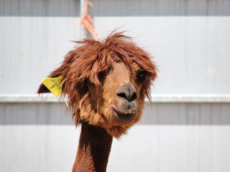 Feltham Trip Packages