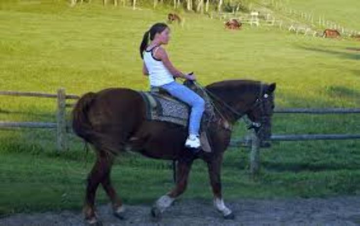 Riding Mountain National Park Trip Packages