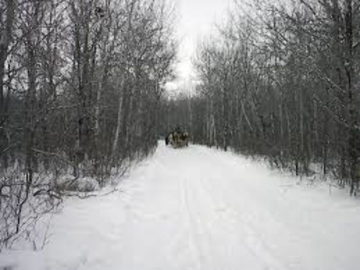 Birds Hill Provincial Park Trip Packages