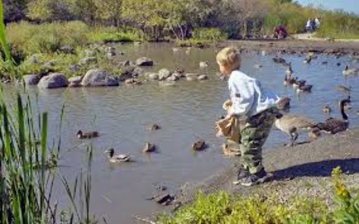 FortWhyte Trip Packages