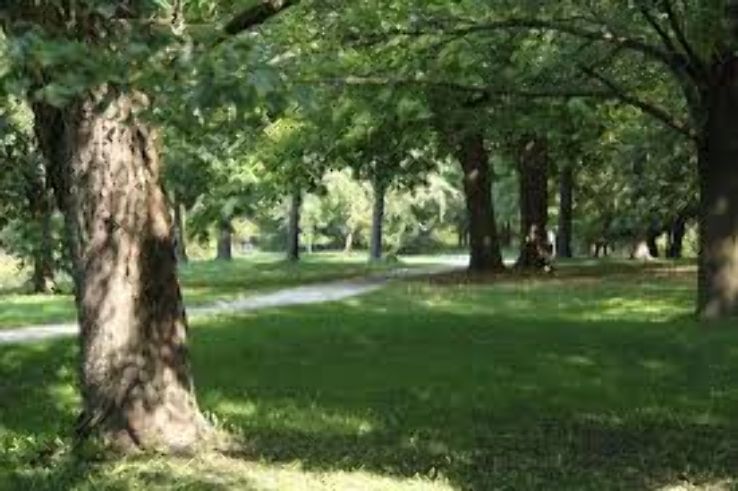 Vaughan Trip Packages