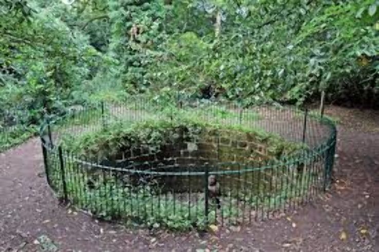 Eastham Country Park Trip Packages