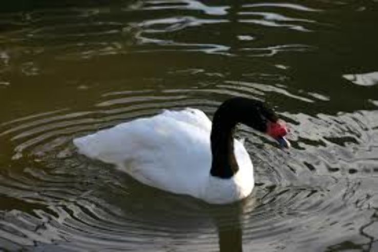 Blackpool Zoo Trip Packages