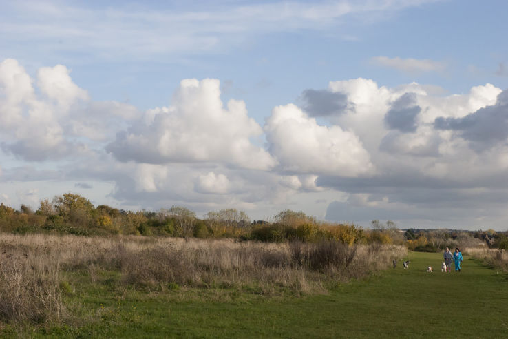 Northfleet Urban Country Park Trip Packages