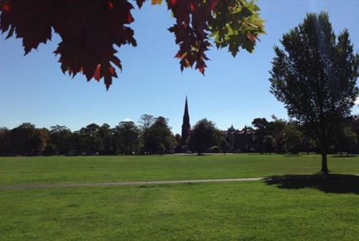 Harrogate Trip Packages