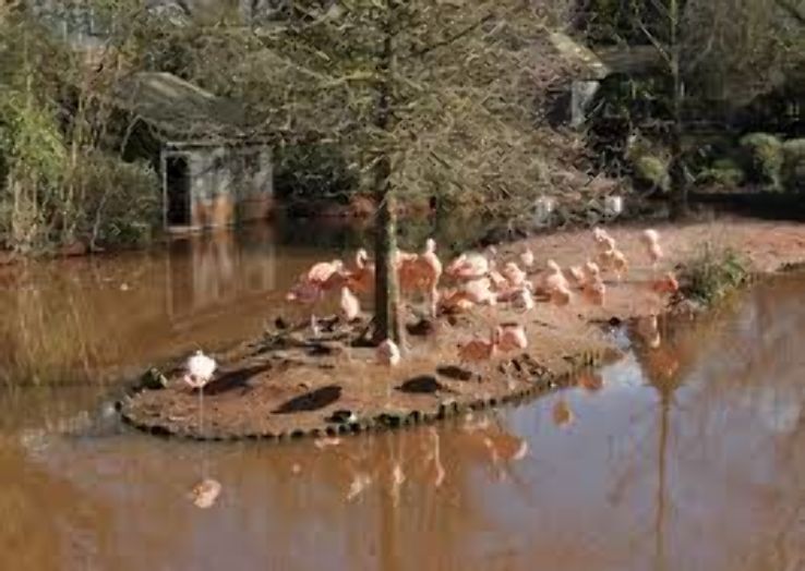 Paignton Zoo Environmental Park Trip Packages