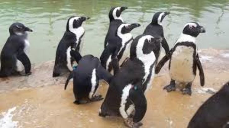 Isle of Wight Trip Packages