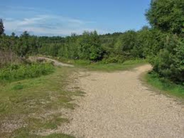 Crowthorne Trip Packages