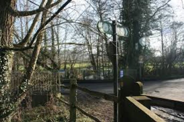 Darenth Country Park Trip Packages