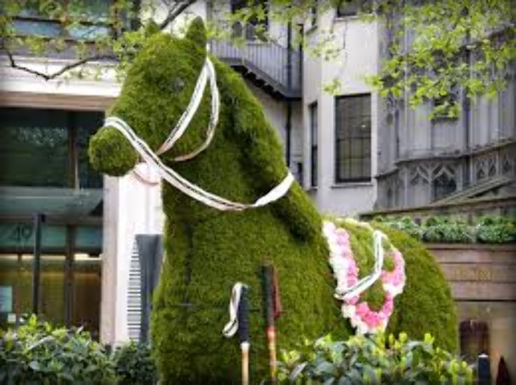 The Keep Trip Packages