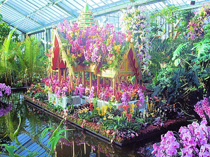 Mackay Orchid House Trip Packages