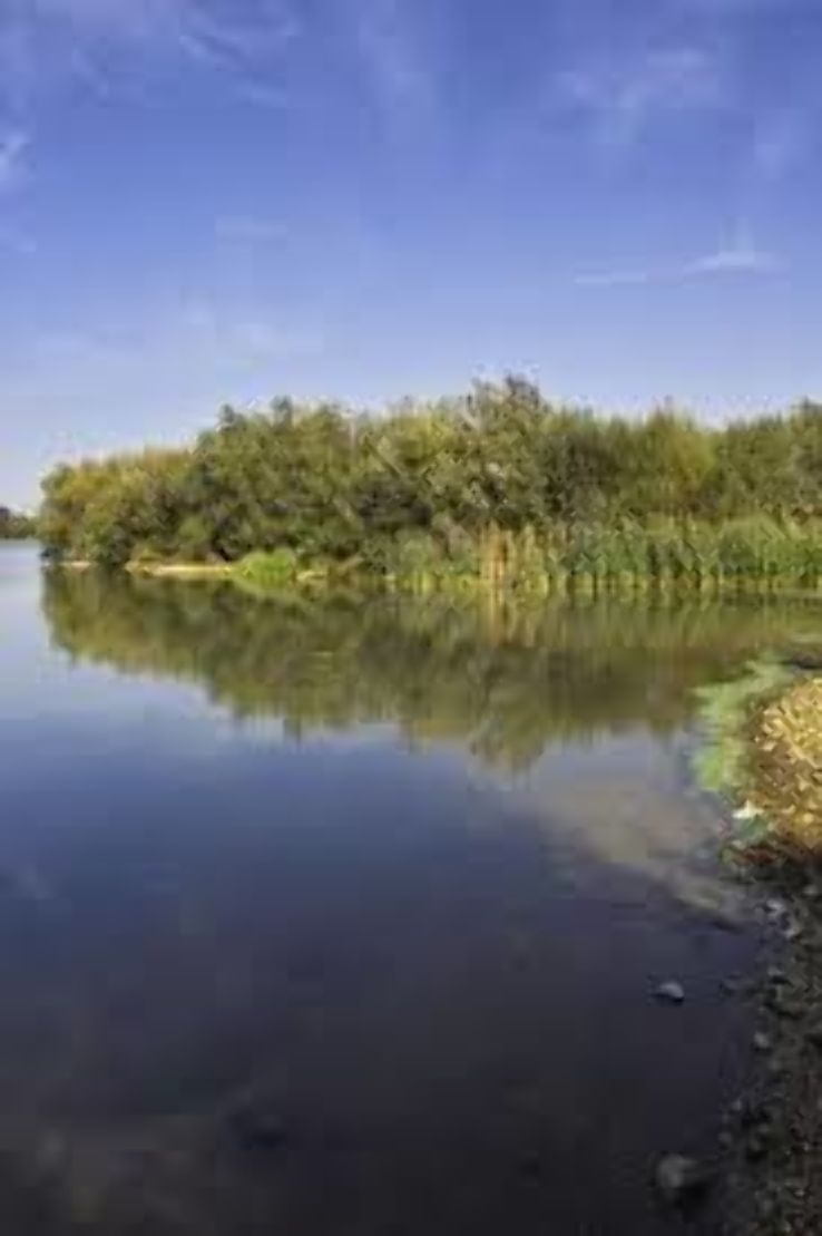 Stanwick Lakes Trip Packages