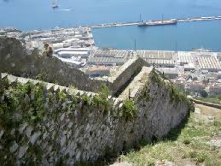 Princes Park Trip Packages