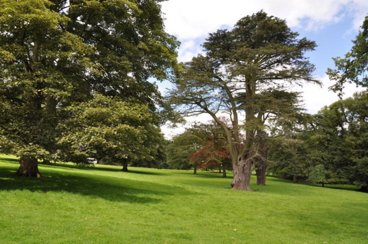 Ilam Park     Trip Packages