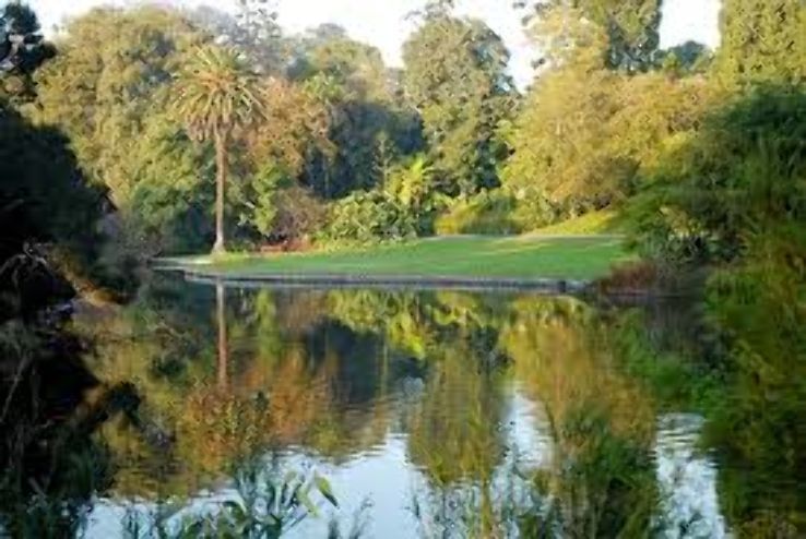 Royal Botanic Gardens Victoria  Trip Packages