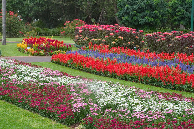 Toowoomba Trip Packages