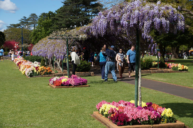 Toowoomba Trip Packages