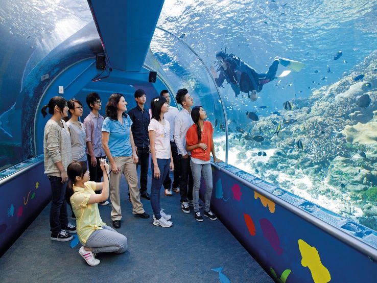 Reef Headquarters Aquarium Trip Packages