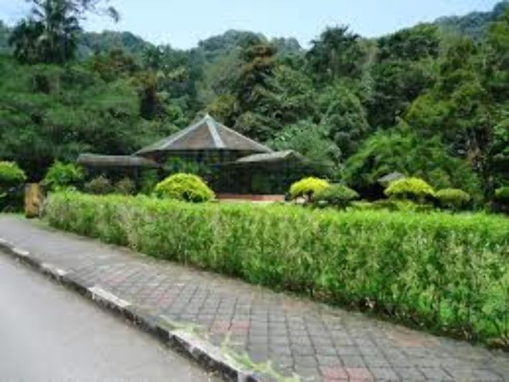 Penang Botanic Gardens Trip Packages