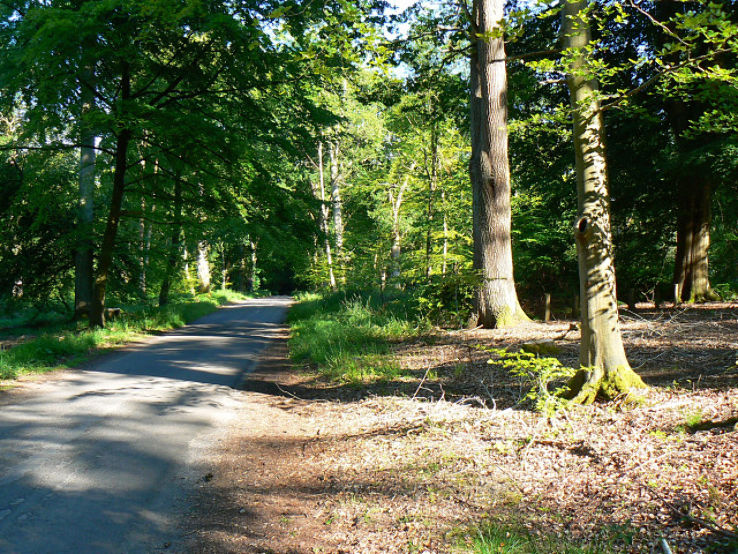 Marshall Avenue Reserve Trip Packages