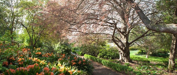 Geelong Botanic Gardens Trip Packages