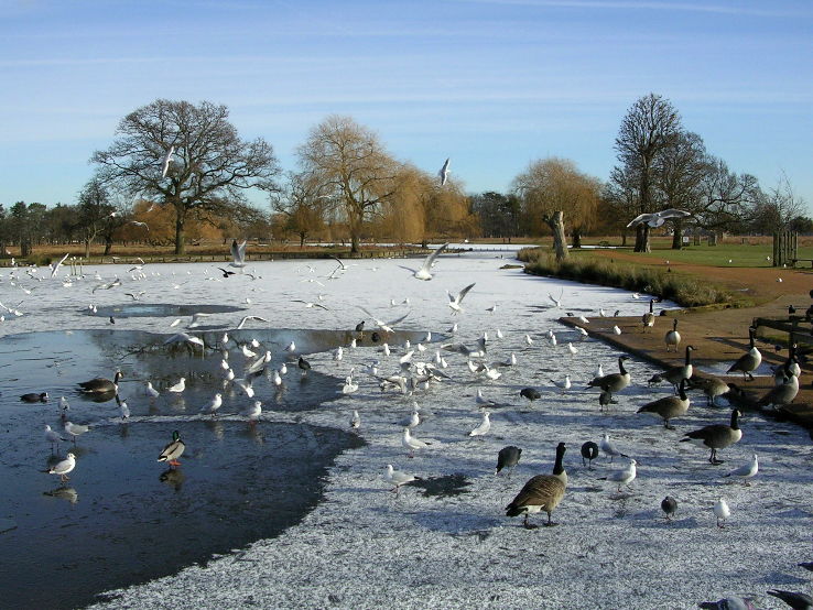 Bushy Park Wetlands Trip Packages