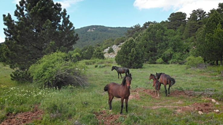 Spil Mountain National Park Trip Packages