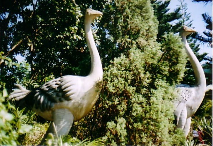 Dinajpur Trip Packages