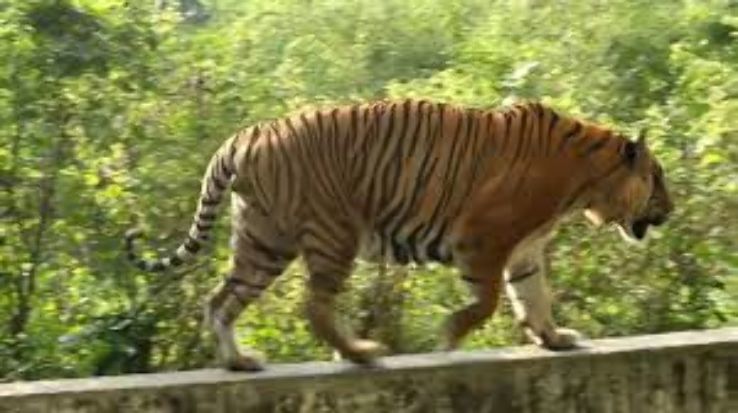 3 NIGHTS 2 DAYS DHAKA BARISHAL KUAKATA