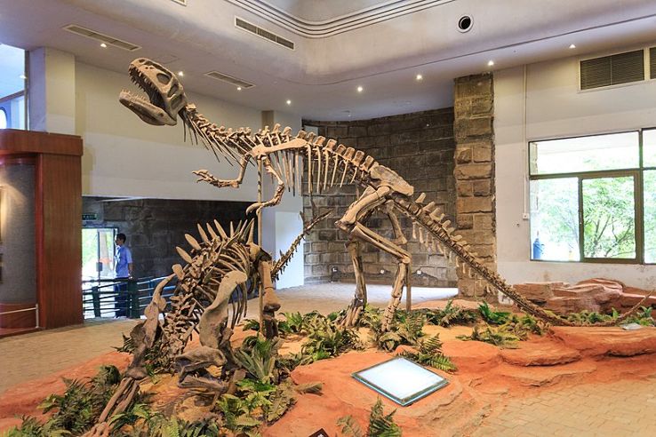 Zigong Dinosaur Museum  Trip Packages