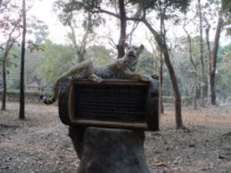 Jaldapara National Park Trip Packages