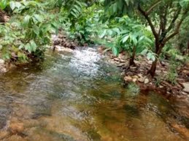 Ubbalamadugu Falls Trip Packages