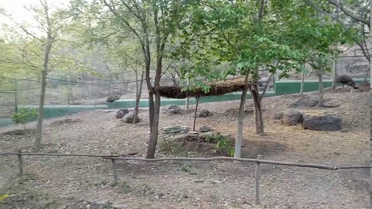 Pradyuman Zoological Park  Trip Packages