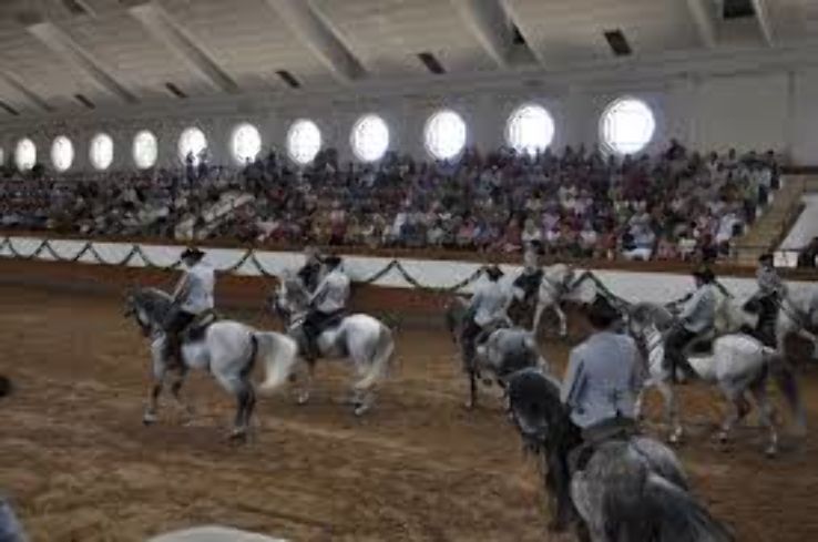 Royal Andalusian School of Equestrian Art Trip Packages